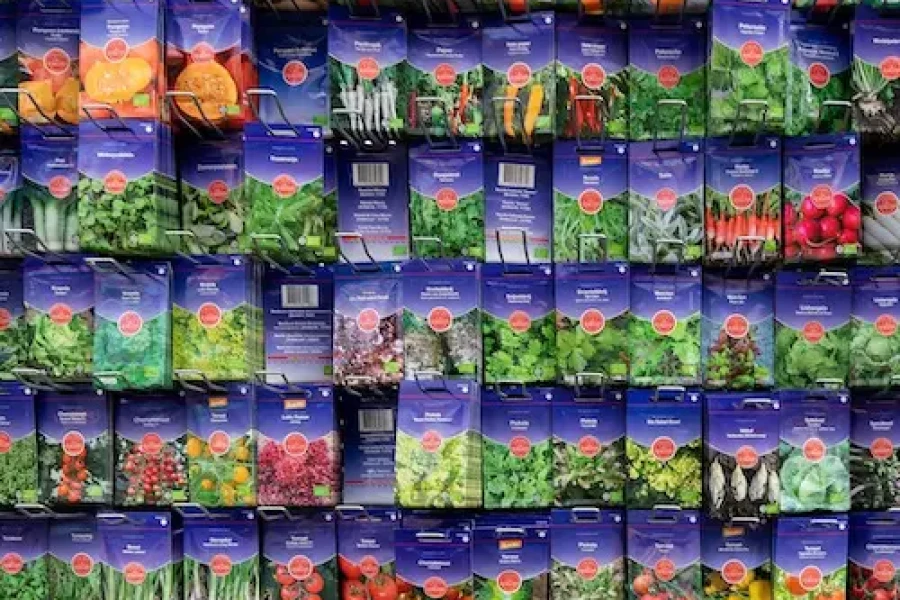 ZADEN VAN DE BOLSTER